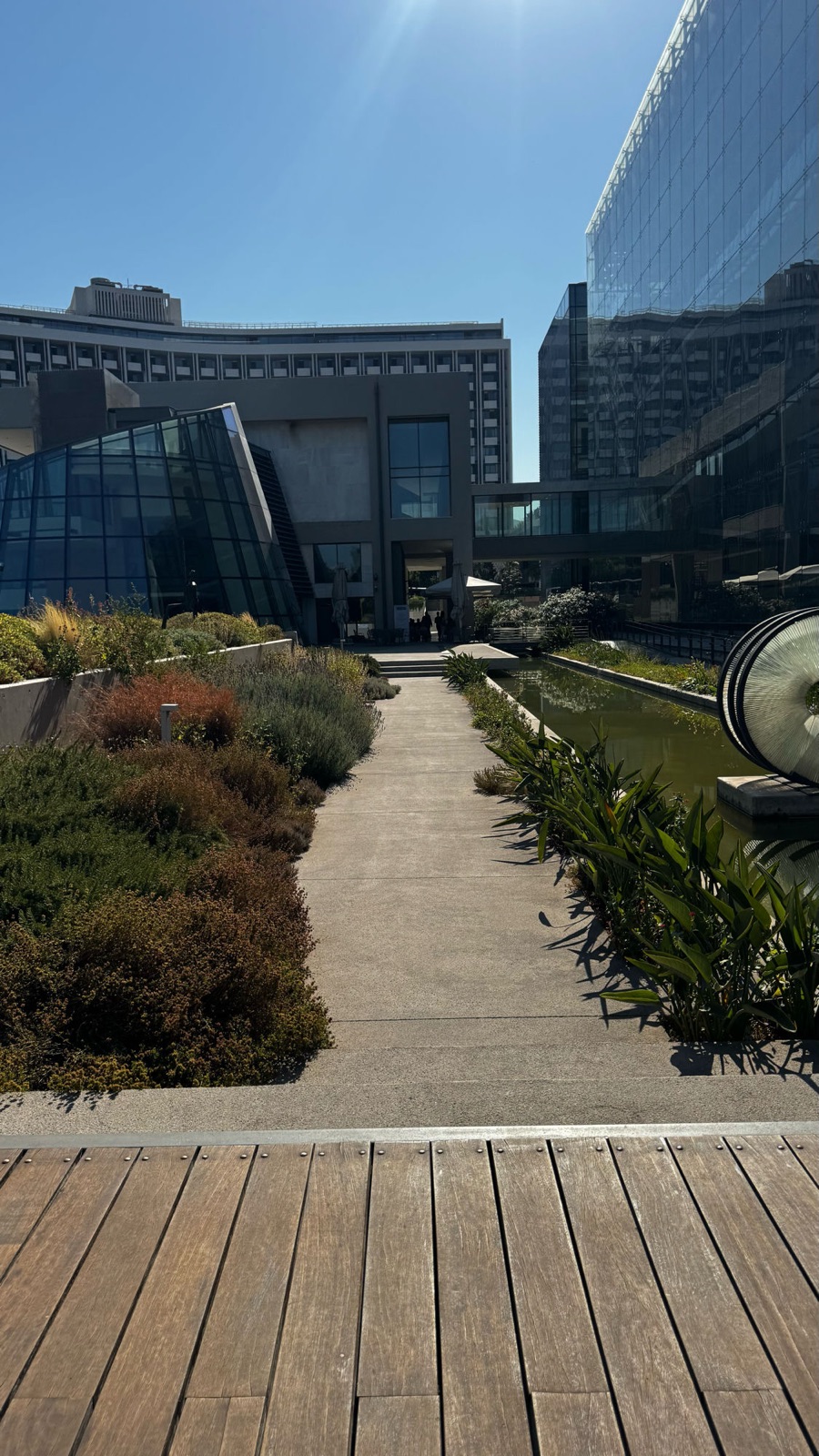 A landscaped garden path between lavender and grasses, leading past a still pond and a glass cone structure toward the curved Hilton building