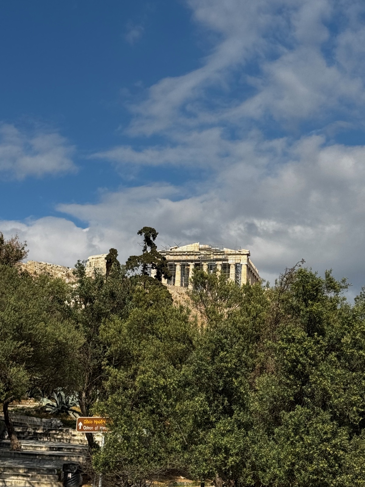 Ο Παρθενώνας ιδωμένος από σκαλωτό μονοπάτι από κάτω, να υψώνεται πάνω από μια πυκνή ζώνη ελαιόδεντρων κάτω από γαλάζιο ουρανό με σύννεφα, μια μικρή πινακίδα μονοπατιού στο πρώτο πλάνο