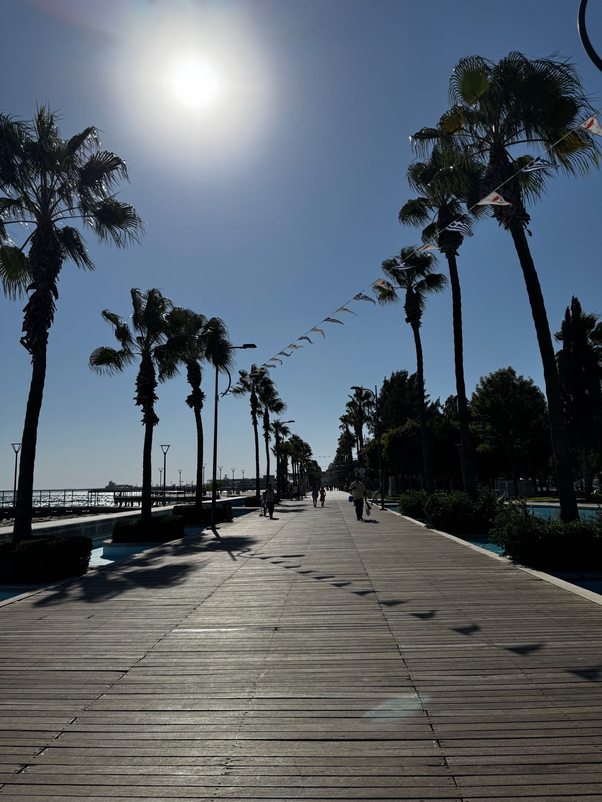 Ένας περίπατος με φοίνικες στη Λεμεσό τραβηγμένος κόντρα στον ήλιο, μια σειρά από μικρές ελληνικές και κυπριακές σημαίες κρεμασμένες ανάμεσα στα δέντρα