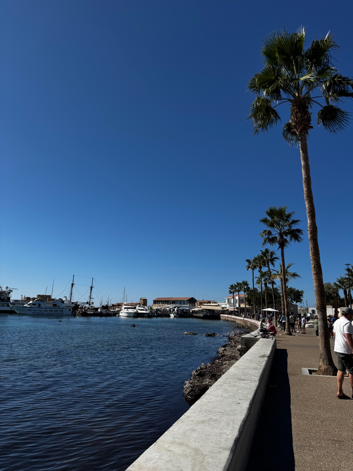 Το λιμάνι της Πάφου το πρωί με σκάφη εκδρομών, ανάμεσά τους ένα σκάφος με γυάλινο πάτο, ένα πλοίο με μαύρα κατάρτια και κόσμο να περπατάει στην προκυμαία