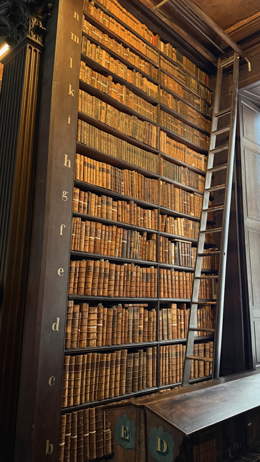 Ένα φατνώμα από τα ράφια του Long Room γεμάτο παλιές δερμάτινες βιβλιοδεσίες, μια ξύλινη σκάλα ακουμπισμένη πάνω τους, γράμματα του αλφαβήτου να σημαδεύουν τις στήλες