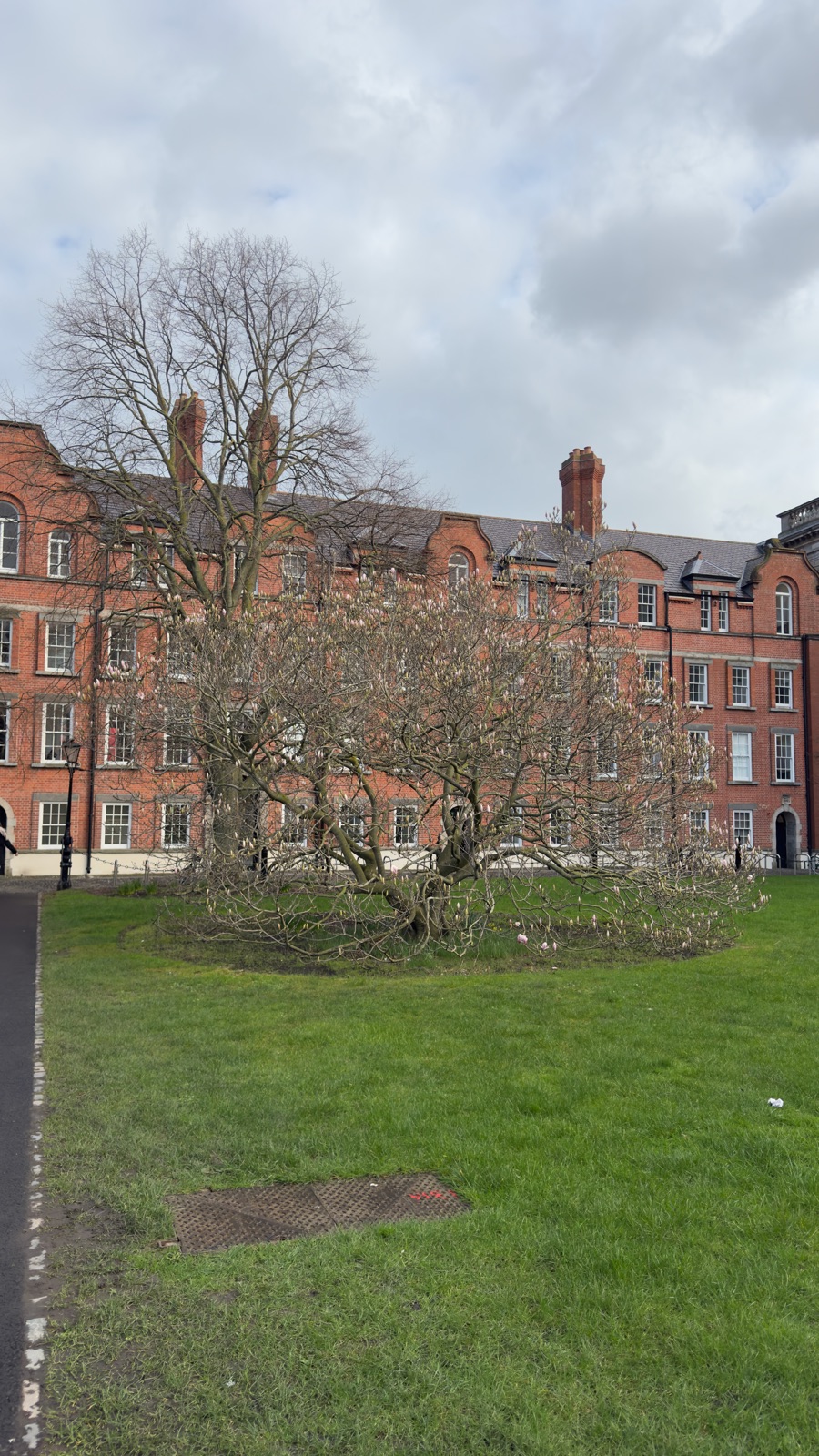 Η μακριά σειρά από κόκκινα τούβλα στο Trinity College πίσω από ένα γυμνό δέντρο στο γκαζόν