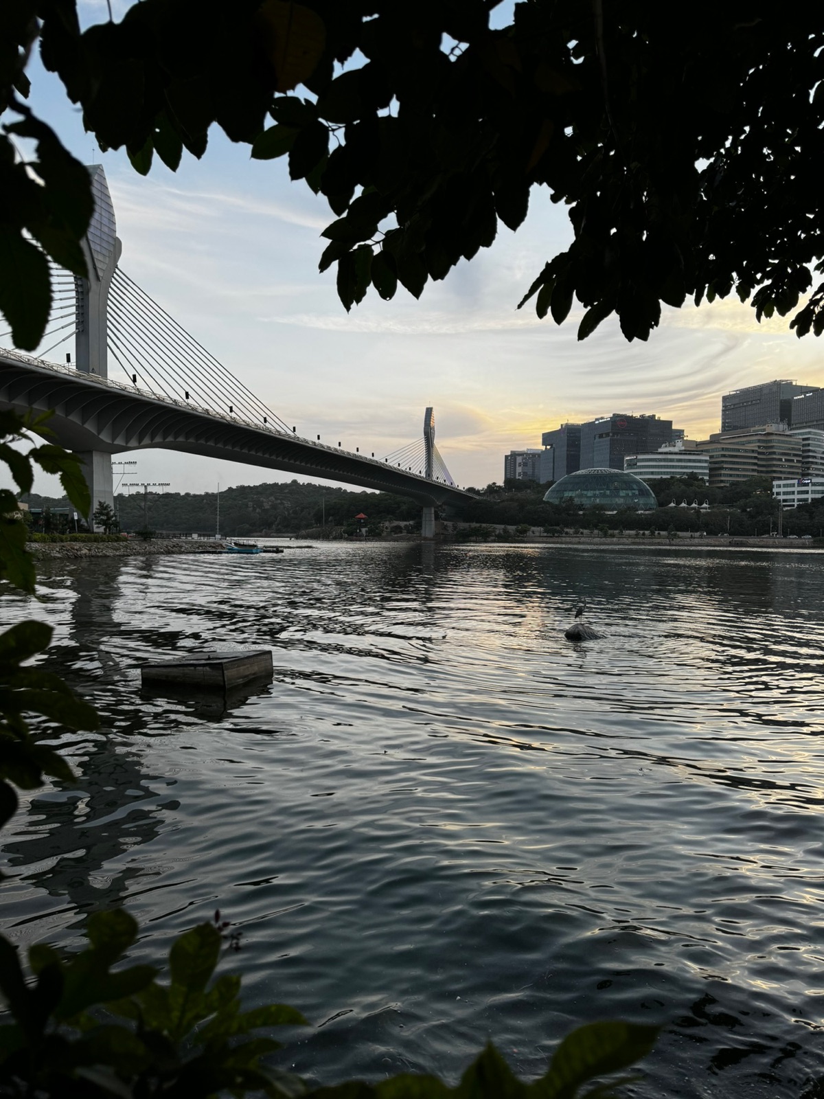 Η καλωδιωτή γέφυρα του Durgam Cheruvu πλαισιωμένη από κρεμαστά φύλλα με έναν ερωδιό πάνω σε έναν βράχο μέσα στο νερό