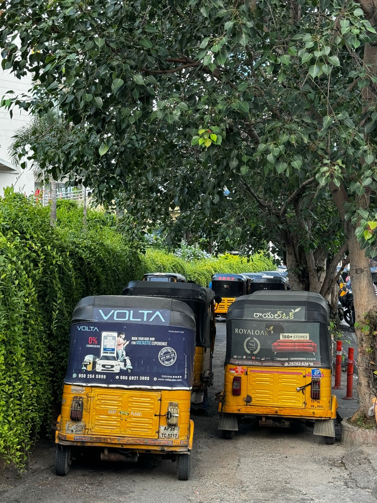 Κίτρινα auto-rickshaw παρκαρισμένα σε ένα σκιερό δρομάκι ανάμεσα σε έναν φράχτη από θάμνους και ένα μεγάλο δέντρο