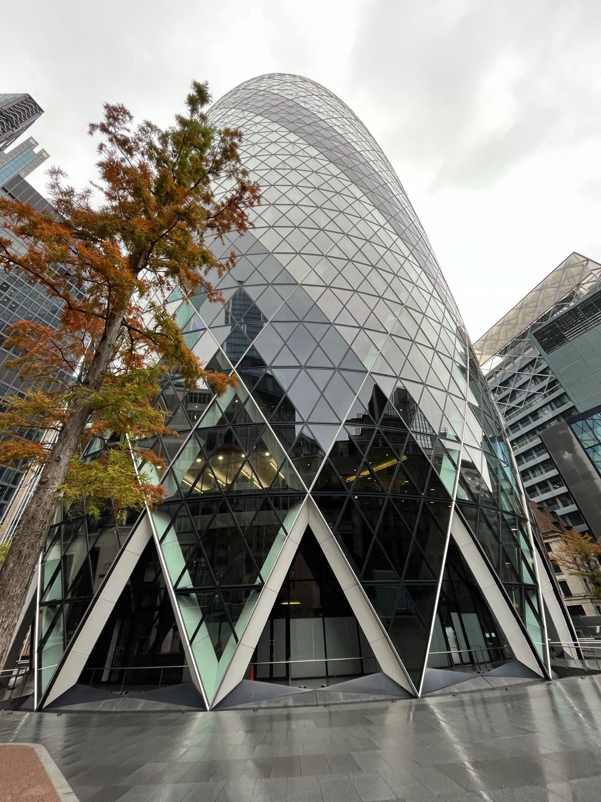 Το Gherkin να υψώνεται πάνω από την πλατεία του με ένα σκουριόχρωμο φθινοπωρινό δέντρο μπροστά, το διαγώνιο γυάλινο πλέγμα να γεμίζει το κάδρο