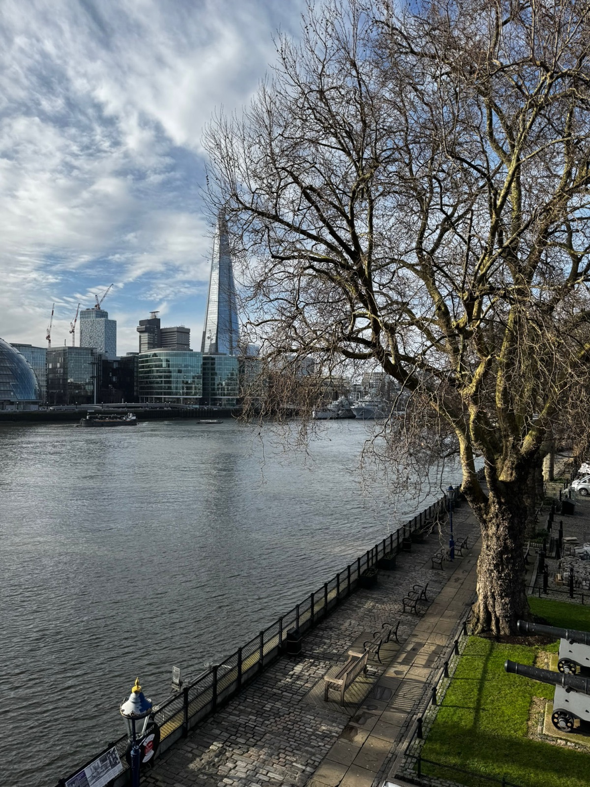 Το Shard και το City Hall απέναντι από τον Τάμεση, ιδωμένα από την αποβάθρα του Tower, ένα γυμνό πλατάνι και μια σειρά παλιά κανόνια στο χειμωνιάτικο φως