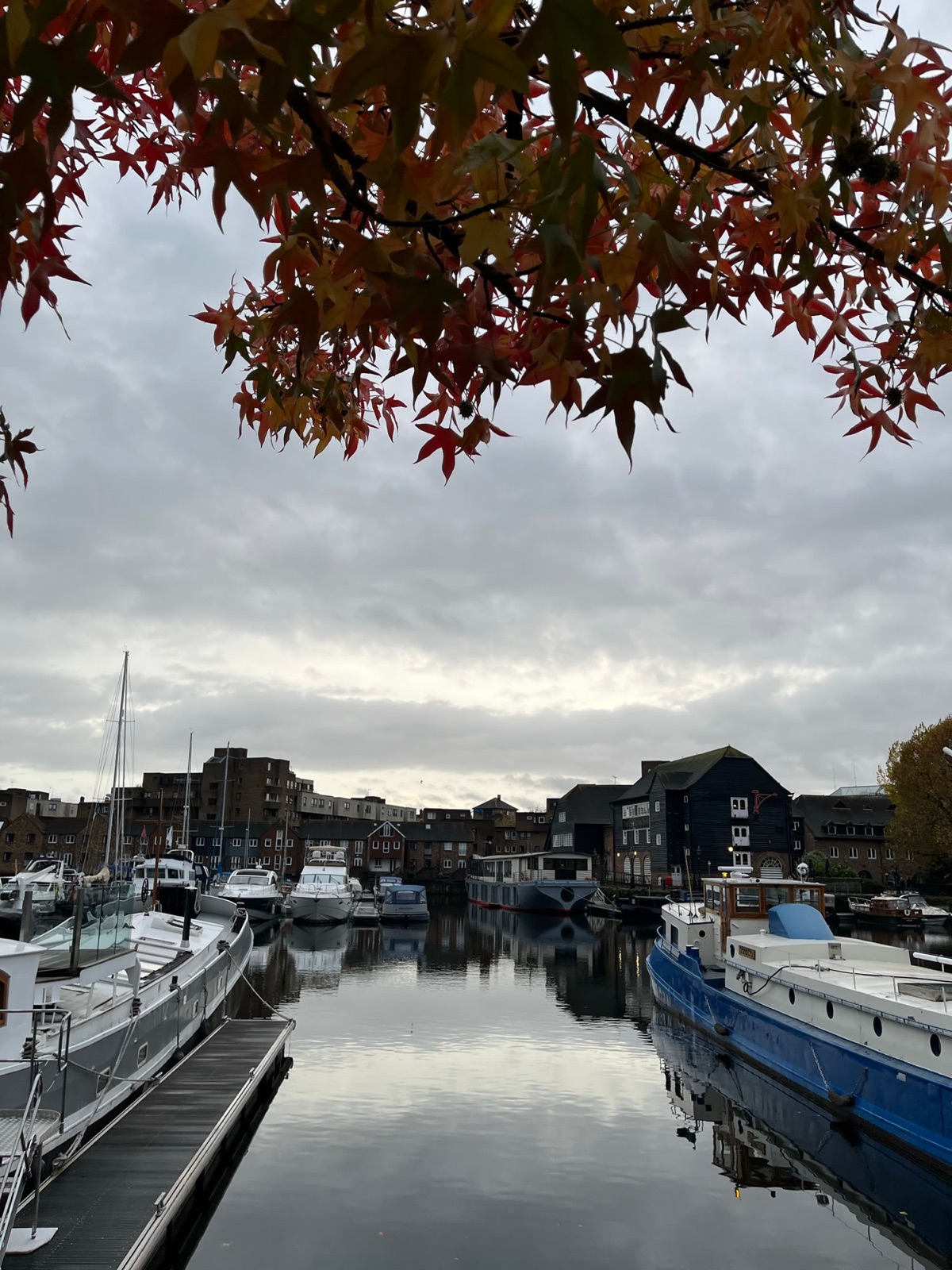 Η μαρίνα του St Katharine Docks κάτω από έναν γκρίζο φθινοπωρινό ουρανό, αραγμένα κότερα και πλωτά σπίτια, το μαύρο ξύλινο Dickens Inn απέναντι στο νερό, κόκκινα φθινοπωρινά φύλλα από πάνω