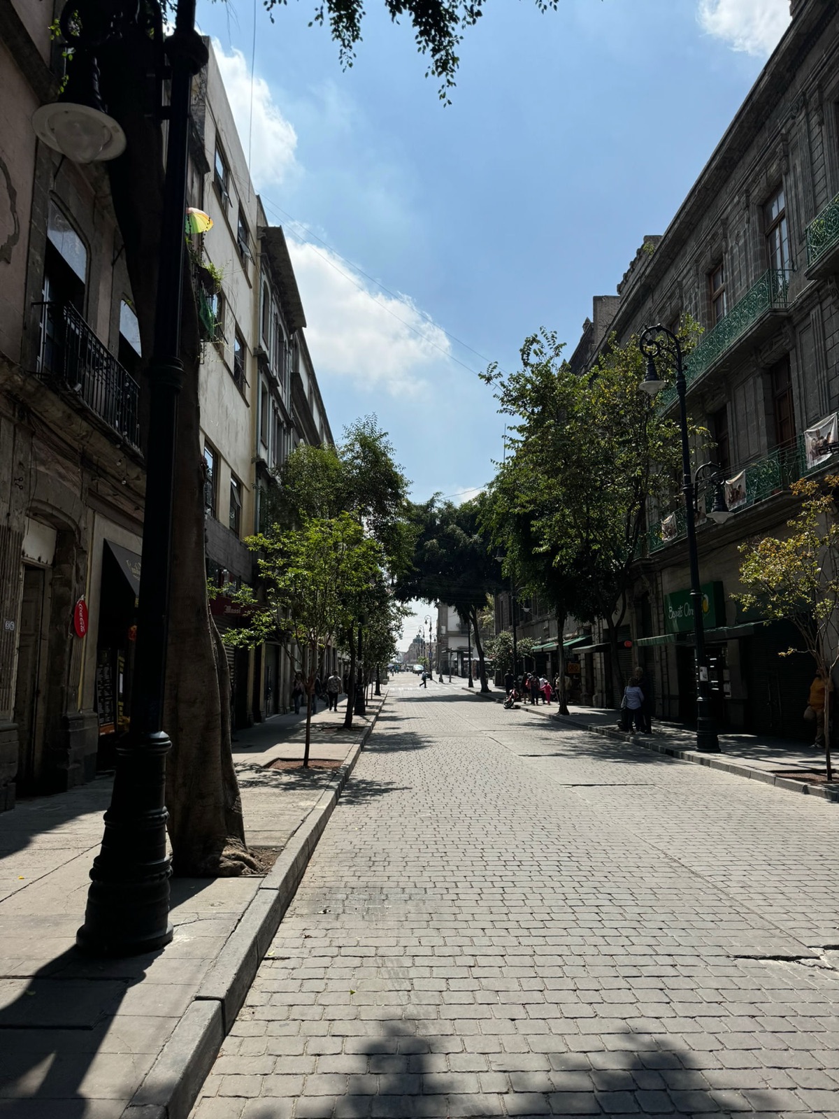 Ένας ήσυχος λιθόστρωτος δρόμος με δέντρα στο Σέντρο Ιστόρικο, πλαισιωμένος από πέτρινα κτίρια με σιδερένια μπαλκόνια