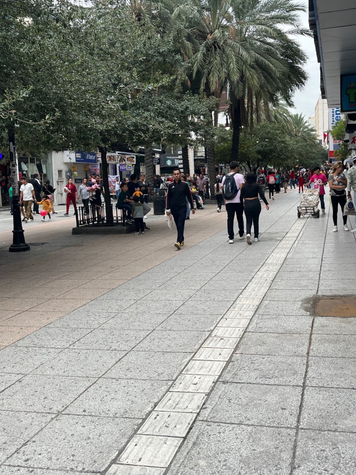 Ο πεζόδρομος Calle Morelos με φοίνικες, περίπτερα φαγητού και σαββατιάτικο πλήθος