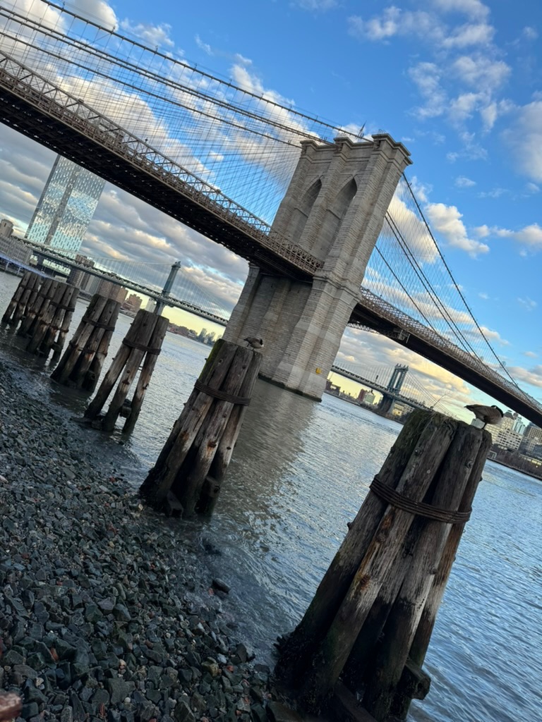 The Brooklyn Bridge seen at an angle from the rocky shore, old wooden mooring piles in the East River, the Manhattan Bridge in the distance