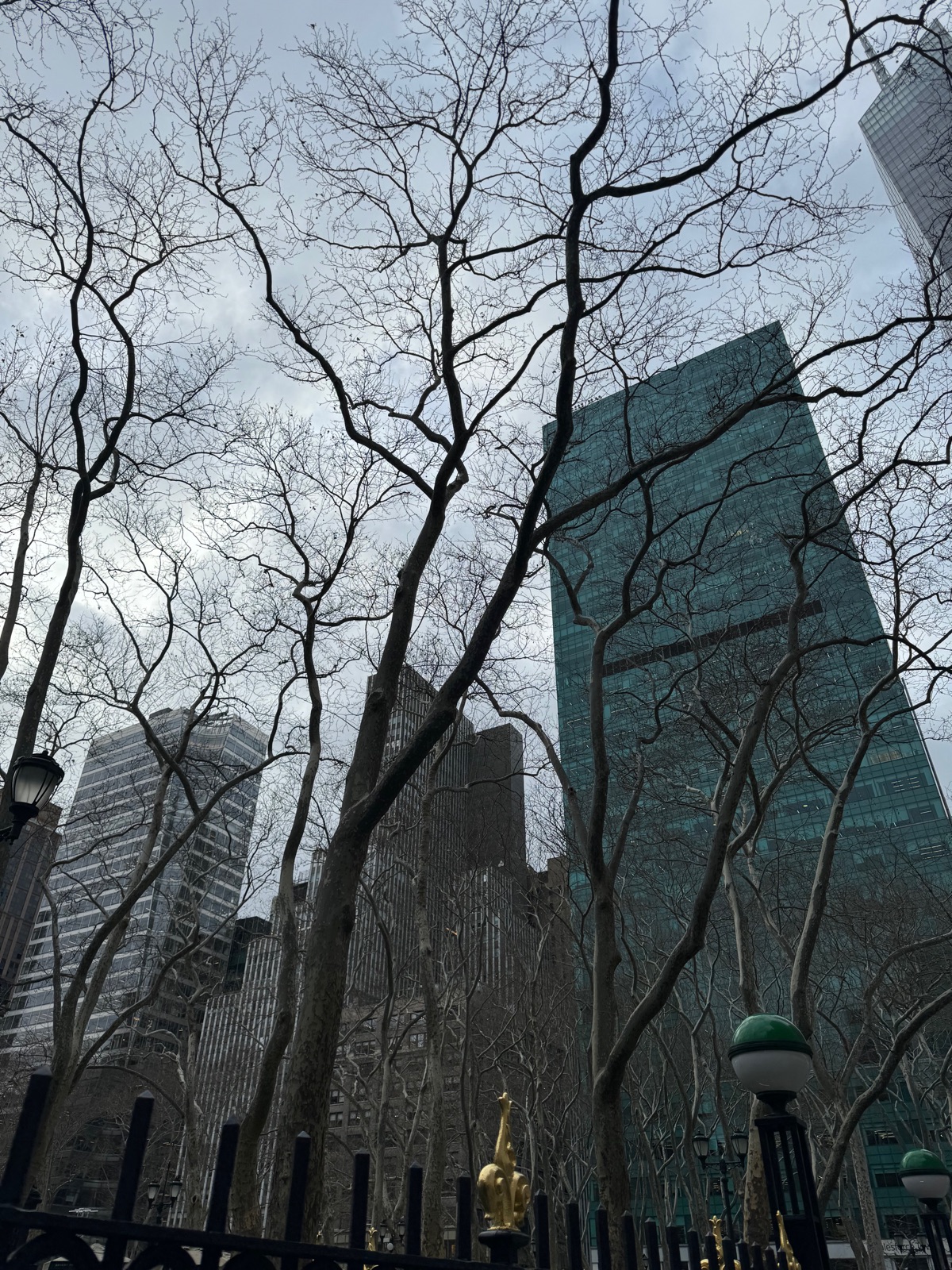 Bare plane trees over a fenced lawn in Bryant Park with a green glass tower rising behind them under gray cloud