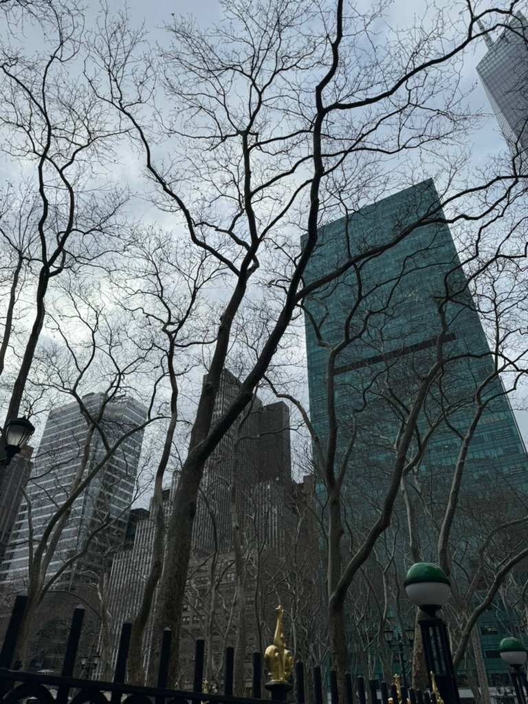 Bare winter plane trees in Bryant Park seen from below, Midtown towers including a green-glass skyscraper rising behind them