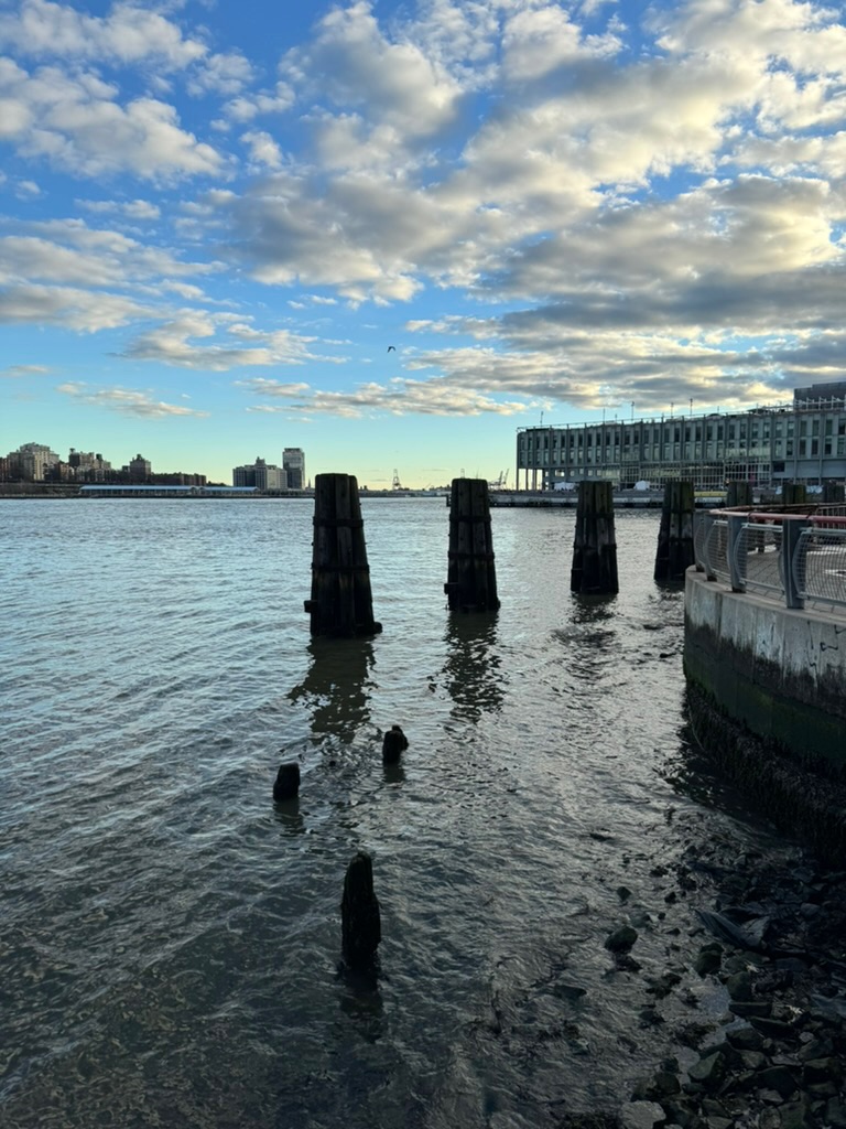 Weathered wooden pilings standing in the East River at low tide under a bright, cloud-streaked sky