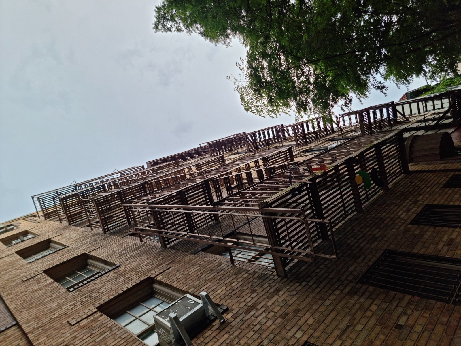Black iron fire escapes zigzagging down a brick building with summer tree branches in leaf reaching across the frame