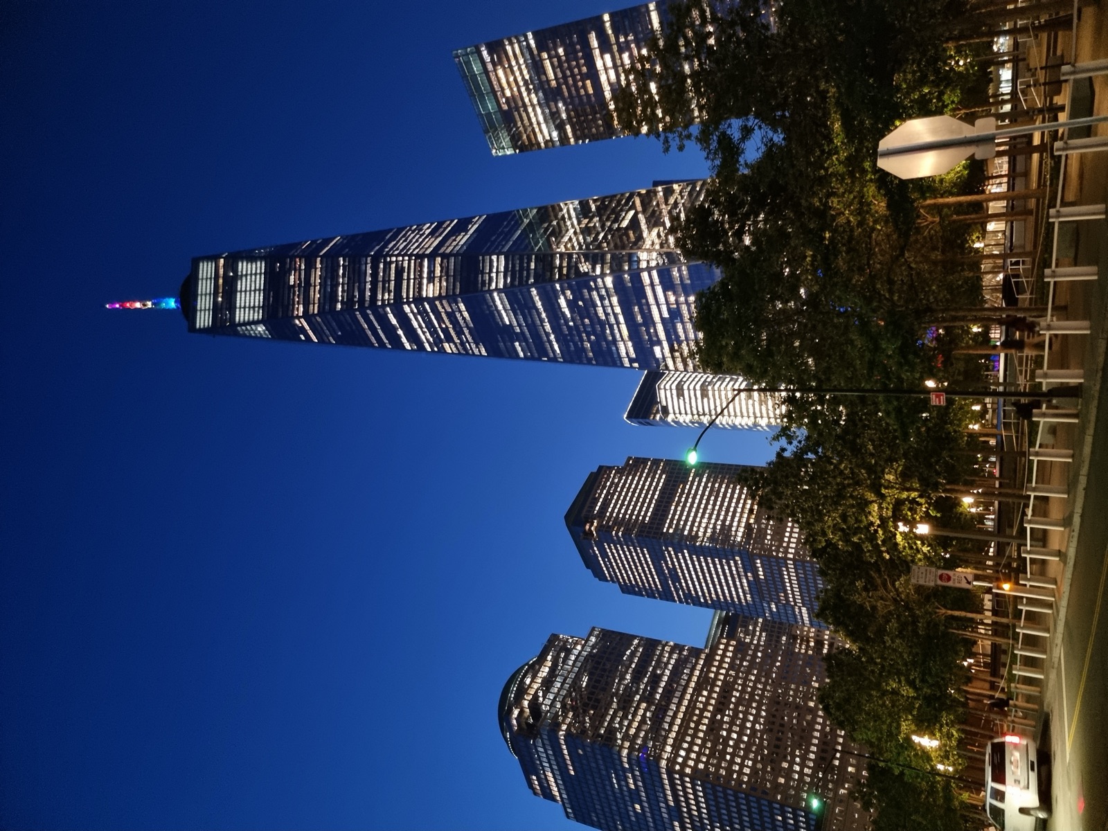 One World Trade Center lit at night above the surrounding towers, seen from a street with trees below