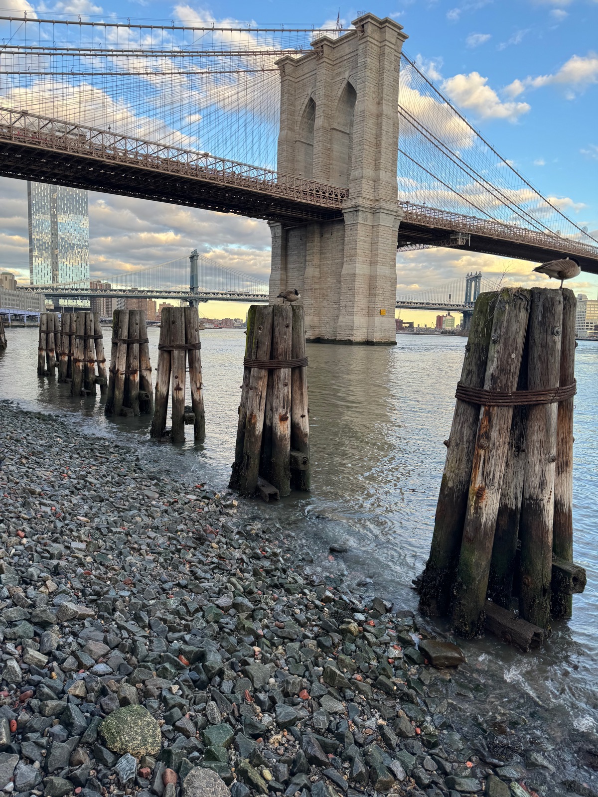 Weathered wooden pilings bound with rusted iron standing in shallow water above a pebble shore, the Brooklyn Bridge tower behind