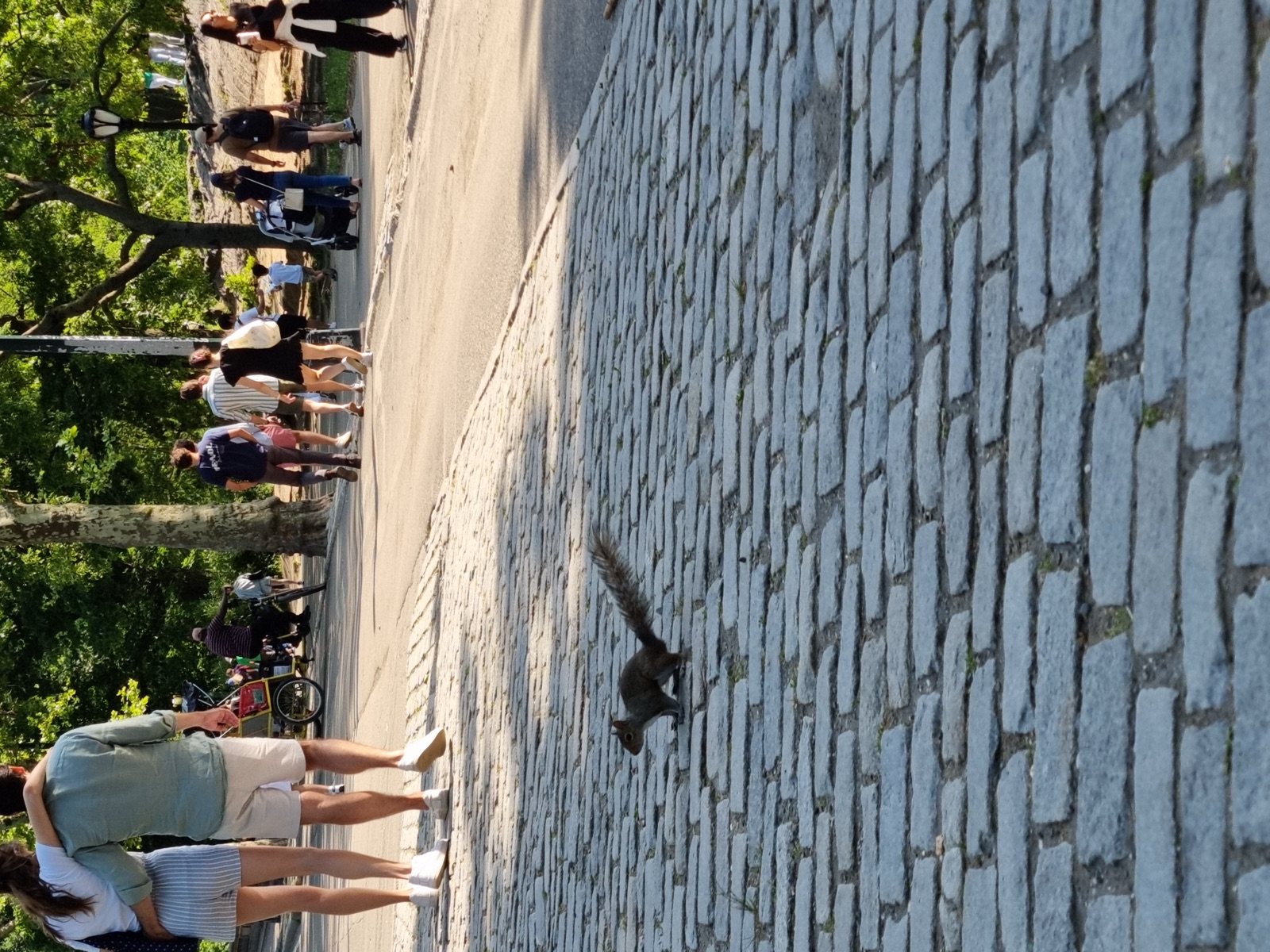 A squirrel running across pale cobblestones on a park path with people walking away in the background under summer trees