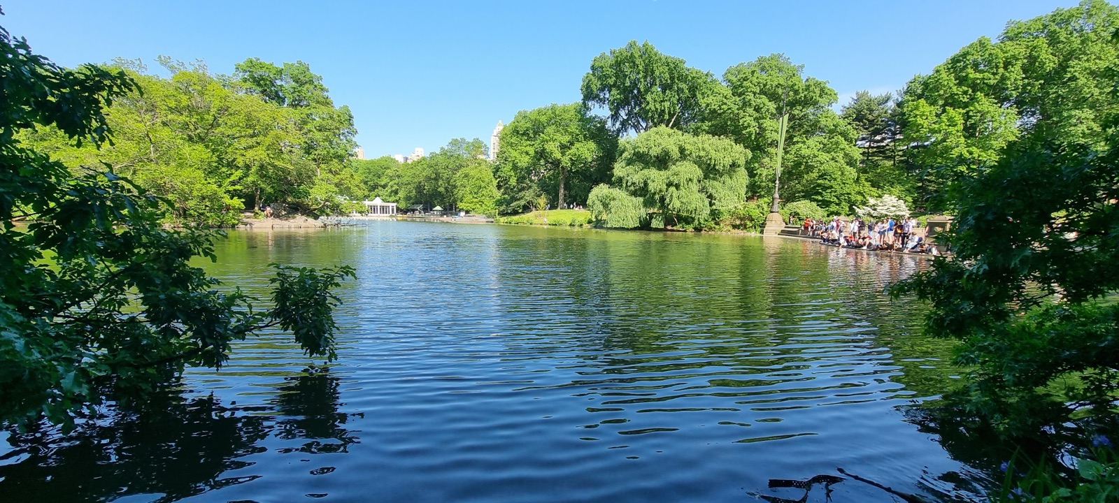 A calm lake in Central Park surrounded by dense green trees coming down to the water's edge, with a small boat and figures on the far bank