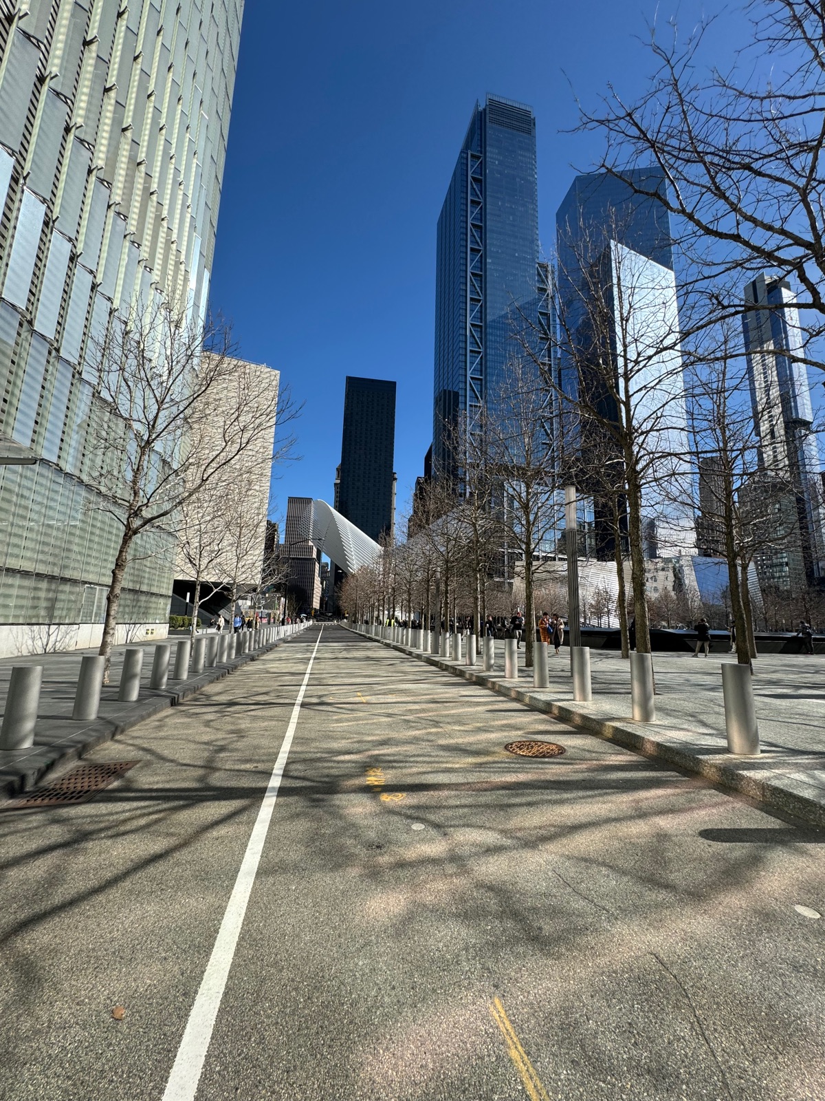 A broad, almost empty street with a bike lane and bare young trees on both sides, glass towers rising and the white ribs of the Oculus visible at the far end