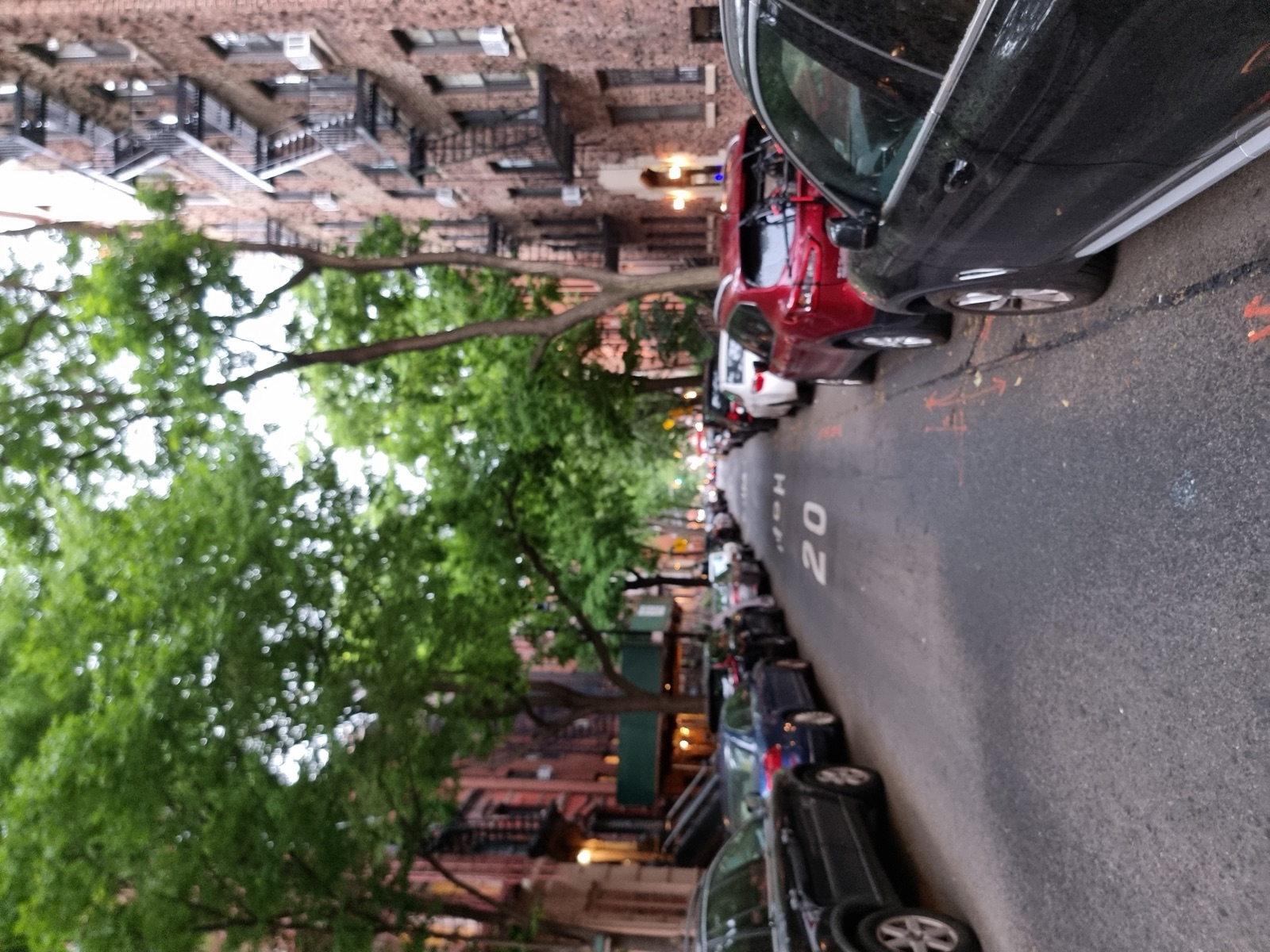 A residential Village street in summer with parked cars on both sides and street trees meeting overhead to form a green tunnel