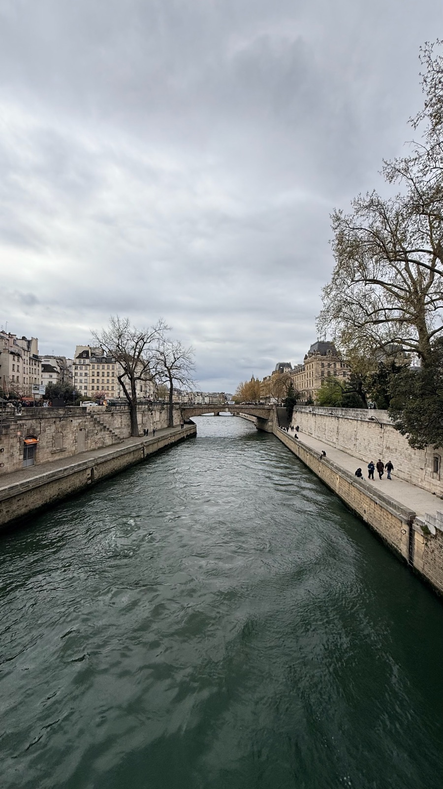Ο στενός βραχίονας του Σηκουάνα δίπλα στο Île de la Cité κάτω από γκρίζο ουρανό, με πέτρινες προκυμαίες και στις δύο πλευρές να έχουν περιπατητές, μια τοξωτή πέτρινη γέφυρα μπροστά